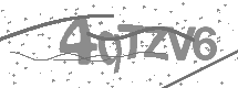 visual captcha